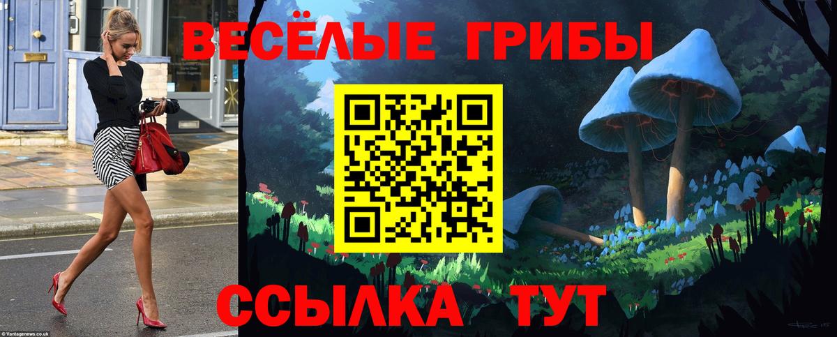 Камышлов  Псилоцибиновые грибы Psilocybe  Вход с VPN 