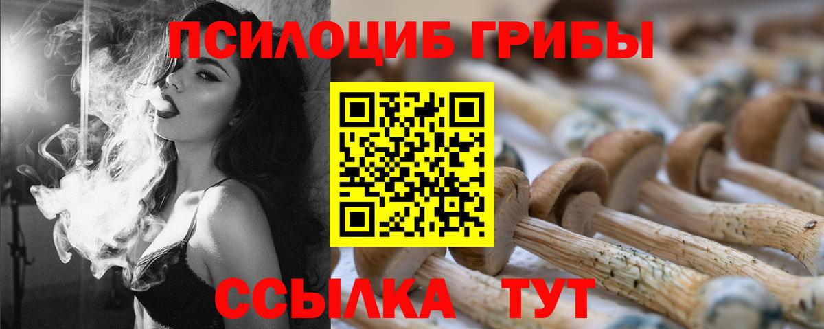 Галлюциногенные грибы Magic Shrooms Камышлов